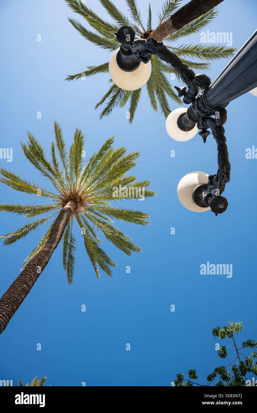Palm Trees and Street Lamp Viewed from Below Against Blue Sky. Stock Photo