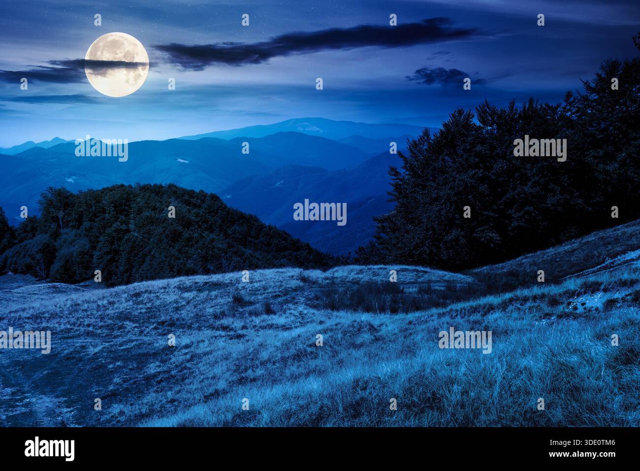 beautiful mountain landscape with beech trees on rolling hills at night. mysterious view of alpine countryside scenery in full moon light. backdrop fo Stock Photo