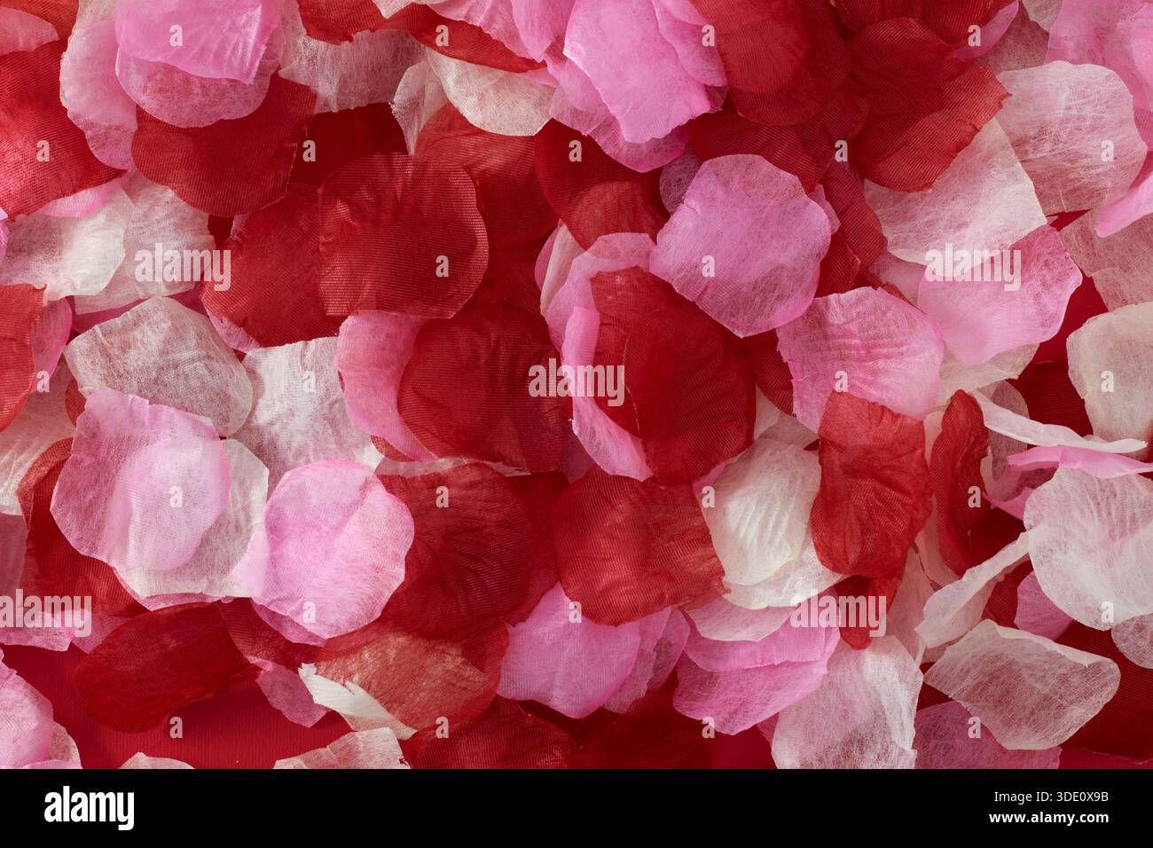 Pink rose petals set hi-res stock photography and images - Alamy