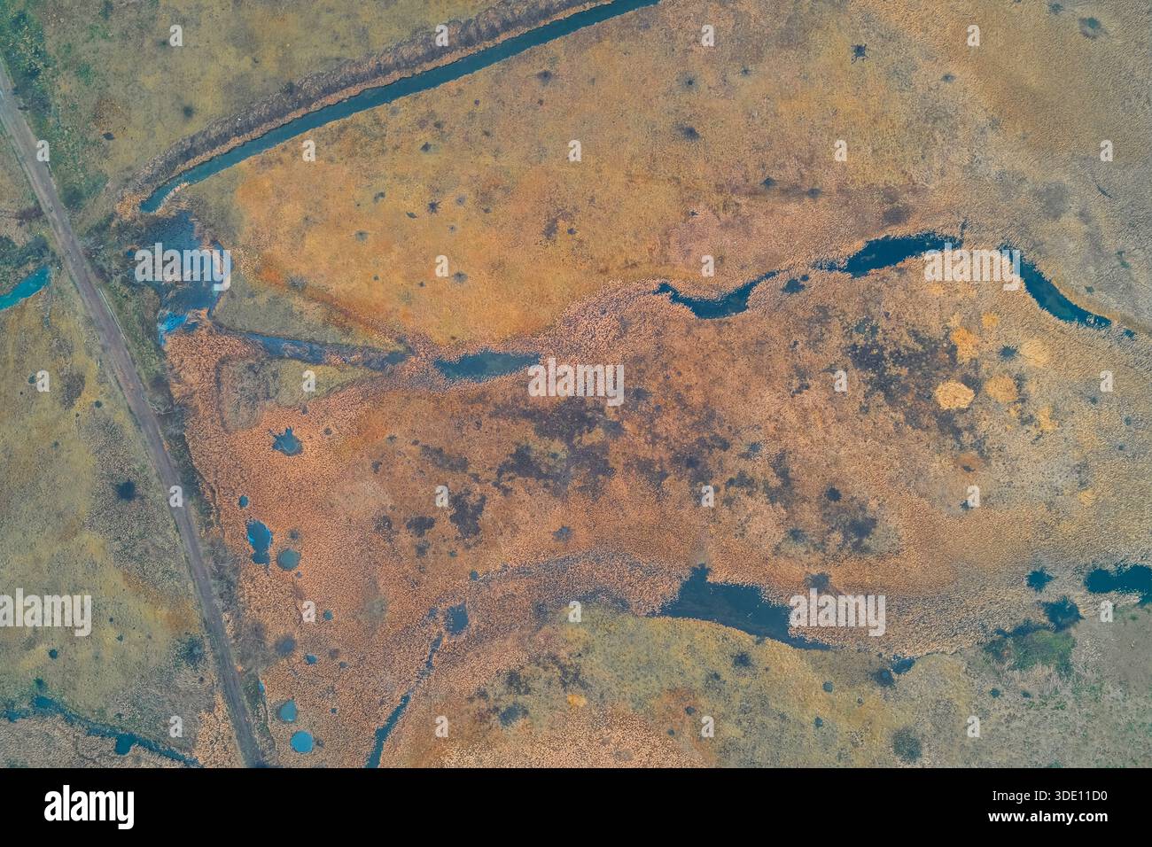 Sense of habitat hi-res stock photography and images - Alamy