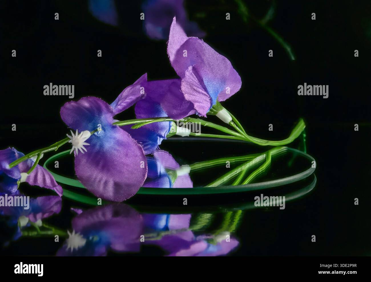 Delicate blossoms on a reflective black background Stock Photo