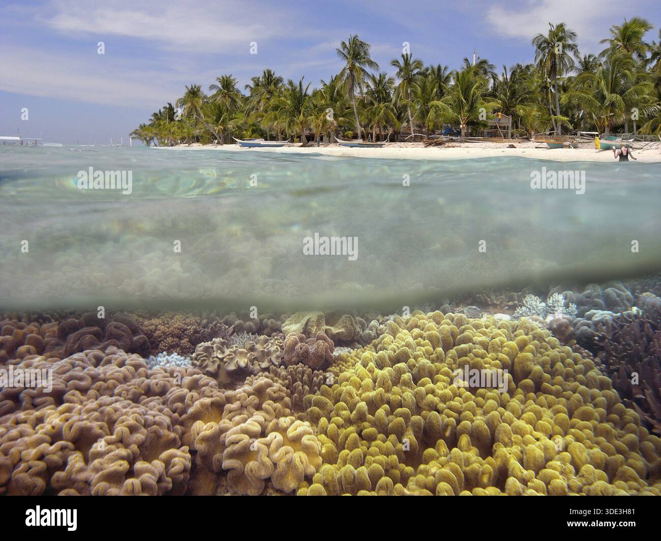 Half and half shot, underwater and beach with palm trees, various ...