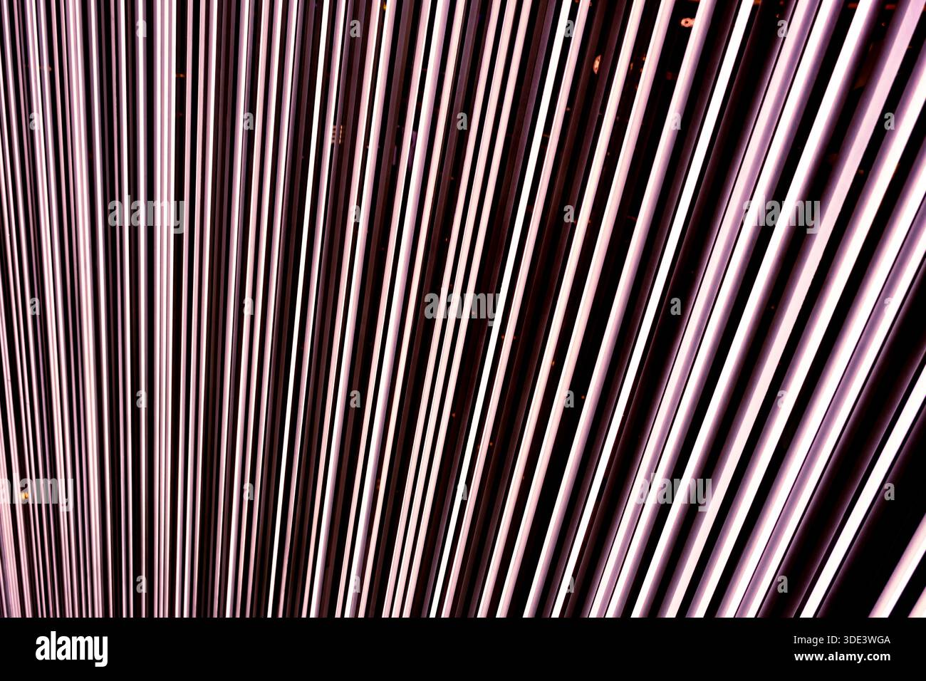 abstract straight neon lights on dark background Stock Photo
