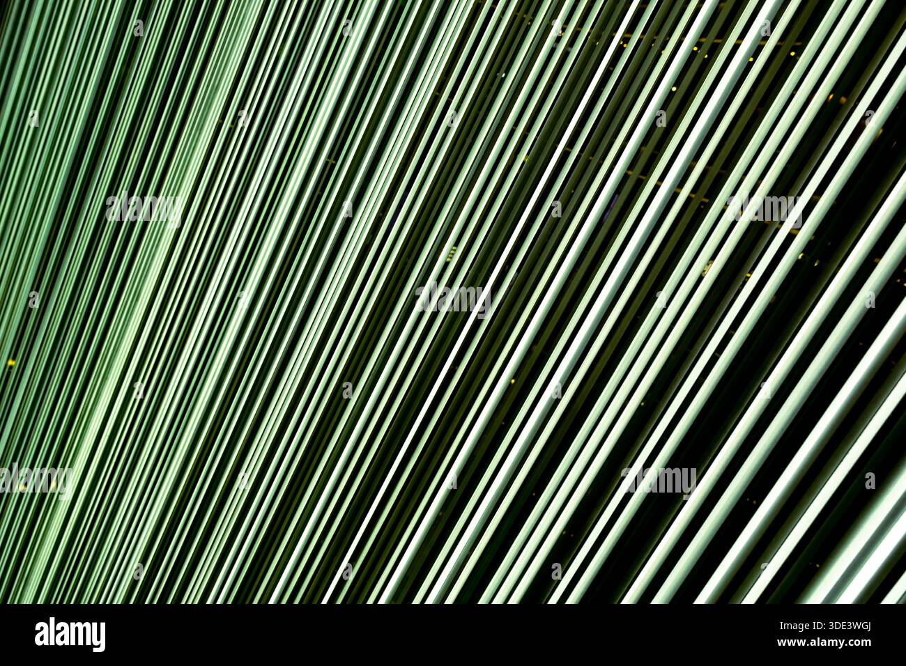 abstract straight neon lights on dark background Stock Photo