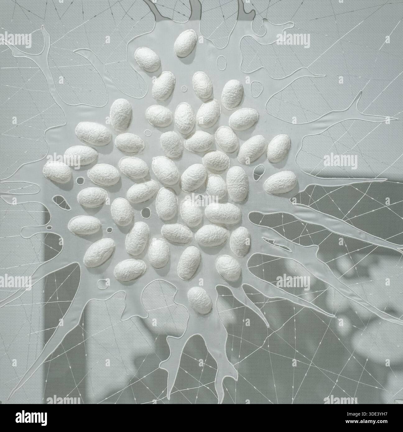 Translucent Install eggs on the spider web, art installation featuring numerous small, oval ...