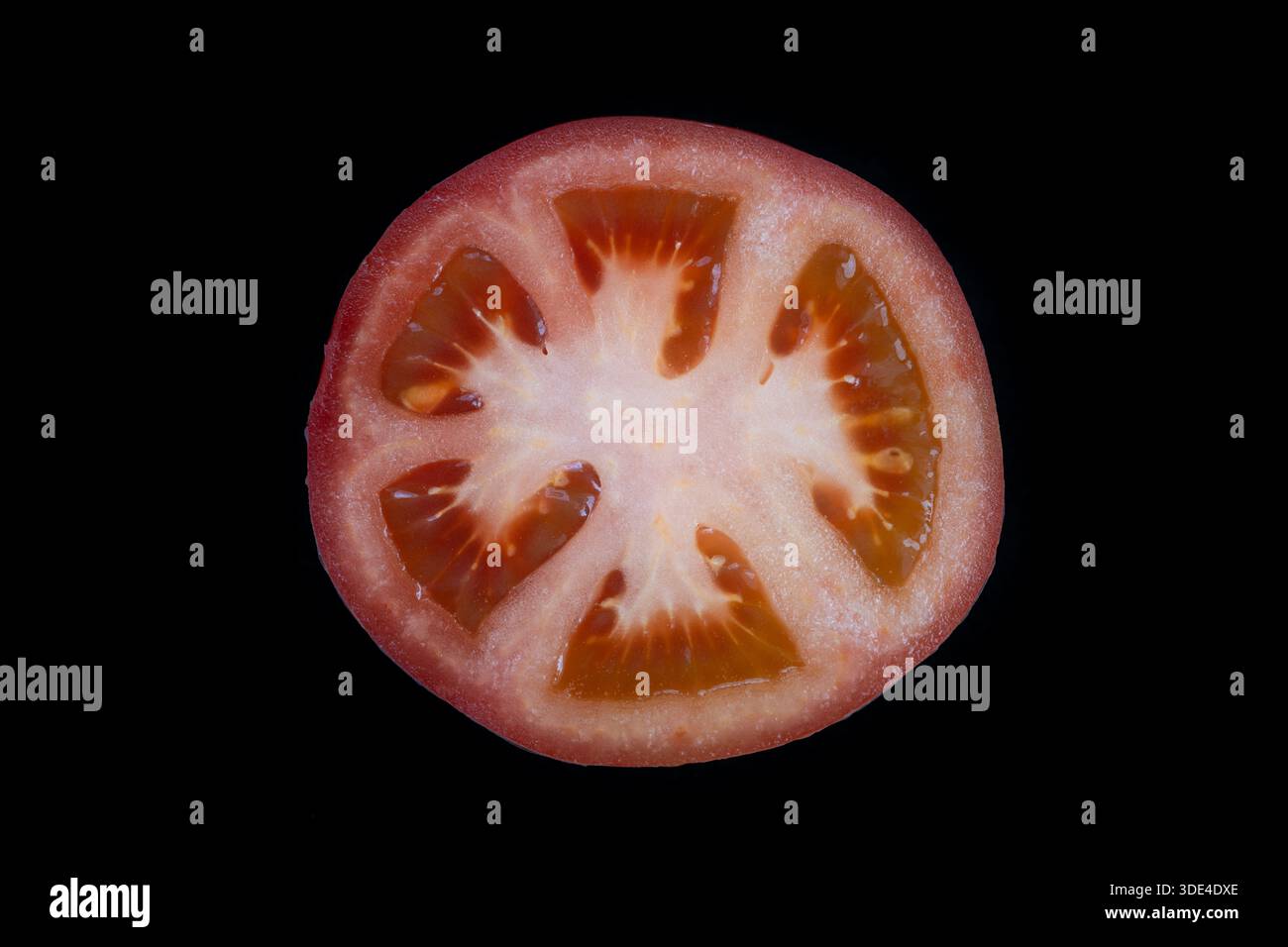 Vivid cutaway hi-res stock photography and images - Alamy