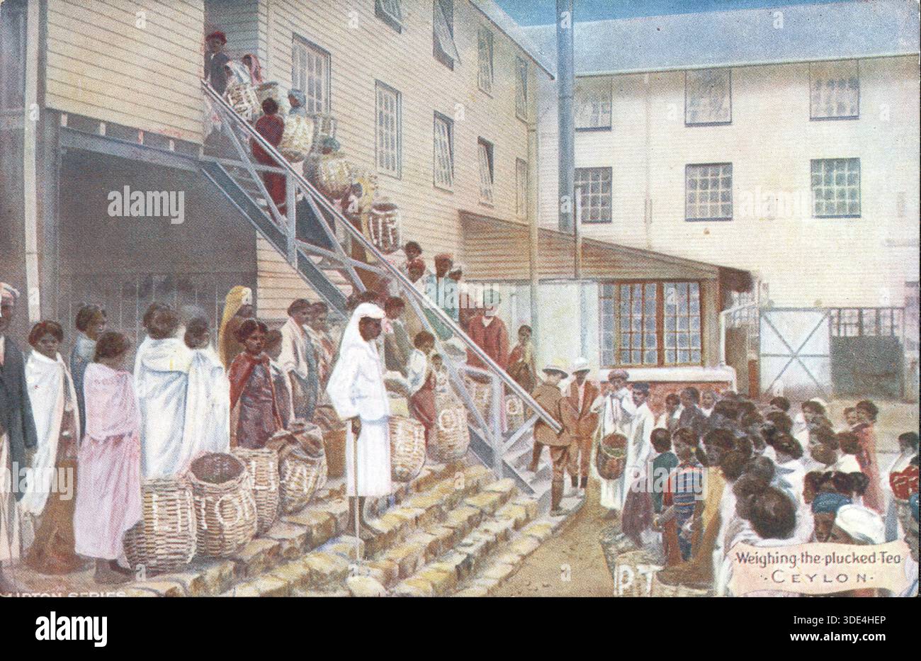 From a mixed collection of social history postcards. A view of tea ...