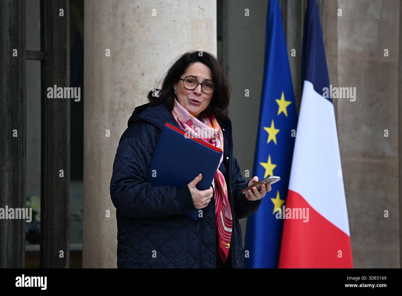 What did the French Sports Minister say about the insults? What did the French Sports Minister say about the insults?