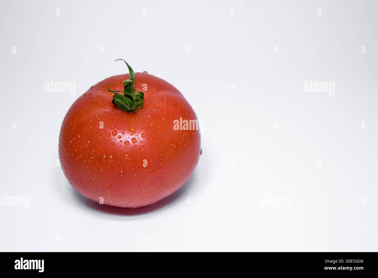 Ripe Red Georgian Tomato with Water Droplets – Studio Shot Stock Photo