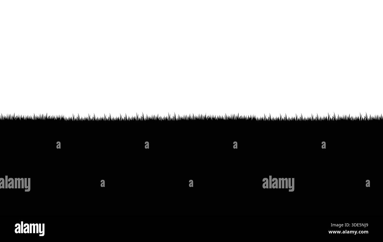 Silhouette Set Grasses Isolated on White Background Stock Vector