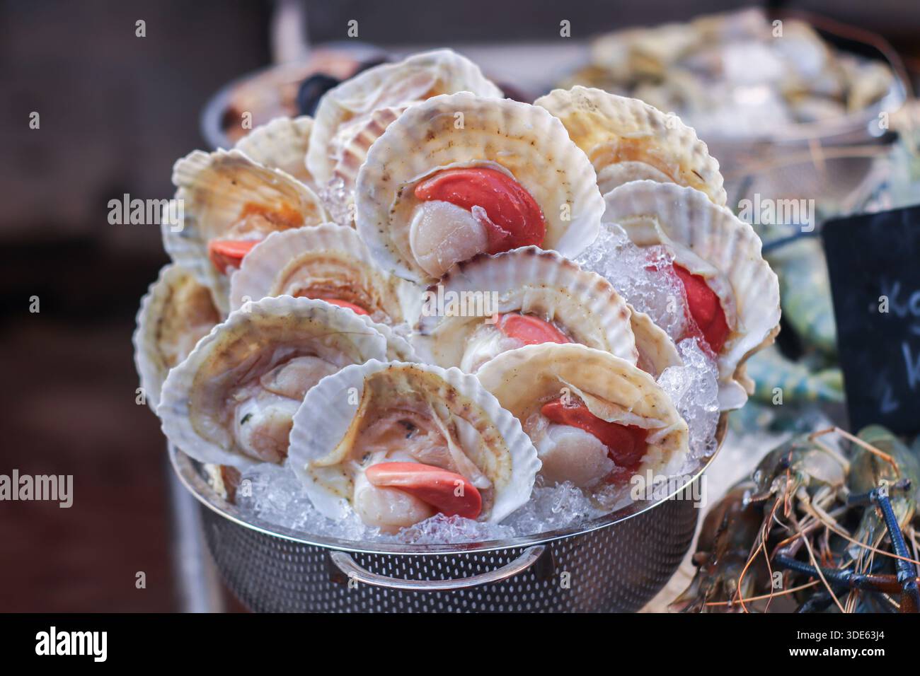 Fresh raw scallops in natural shells displayed on ice at a traditional ...
