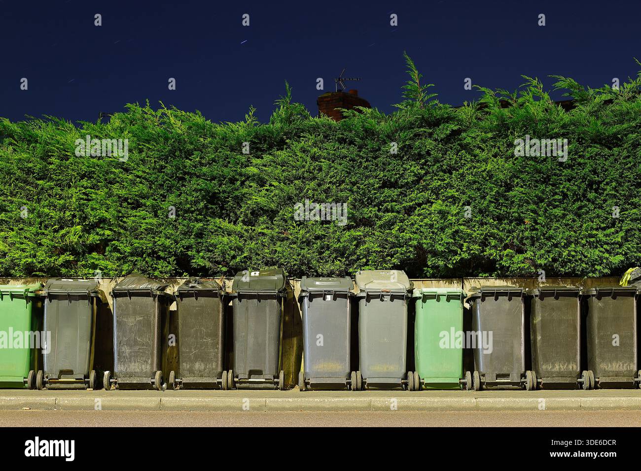 Black general waste wheelie bins & Green recycling wheelie bins ...