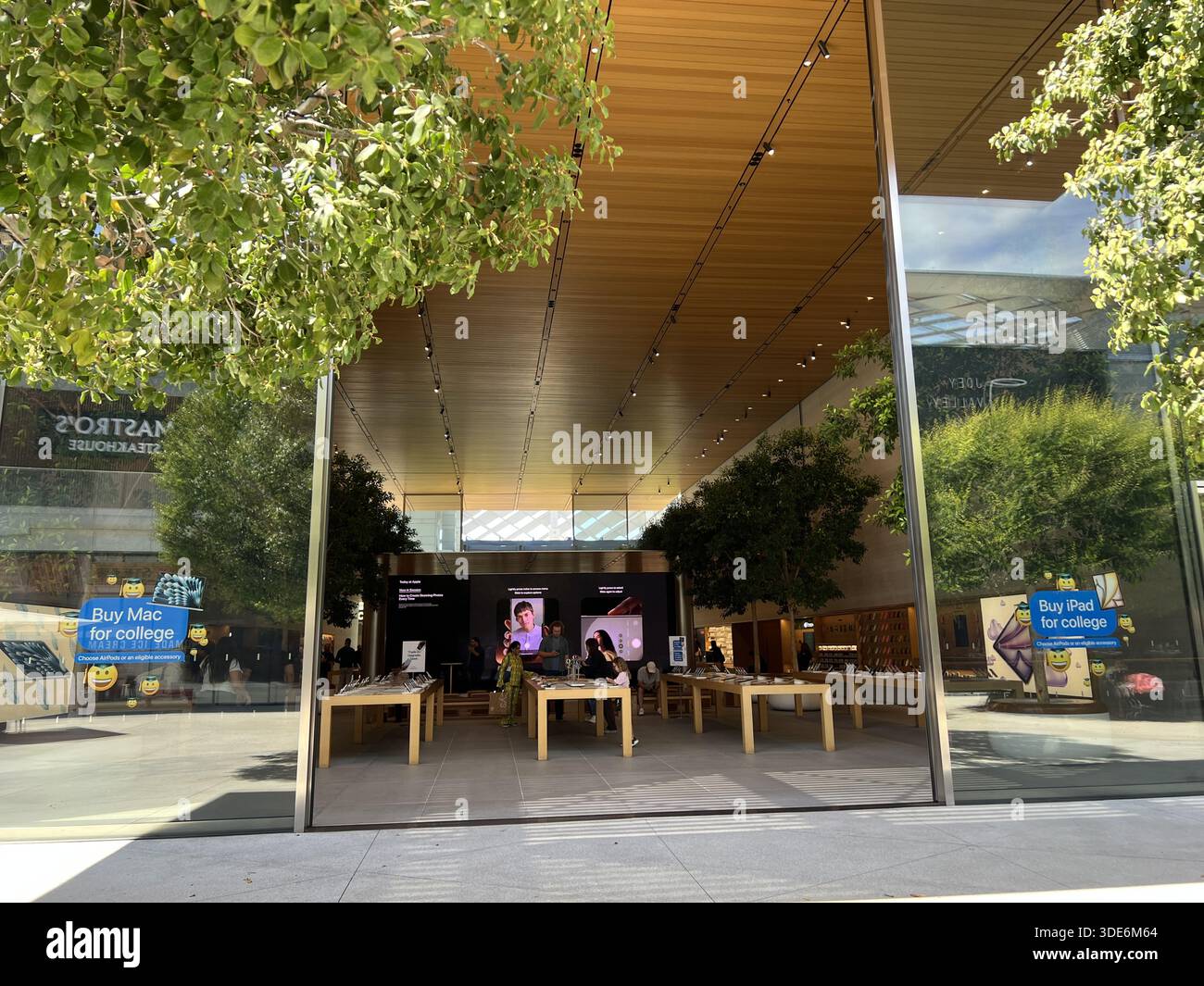 Apple Shop Tree View into Apple store with interior trees visible, Santa Clara ...