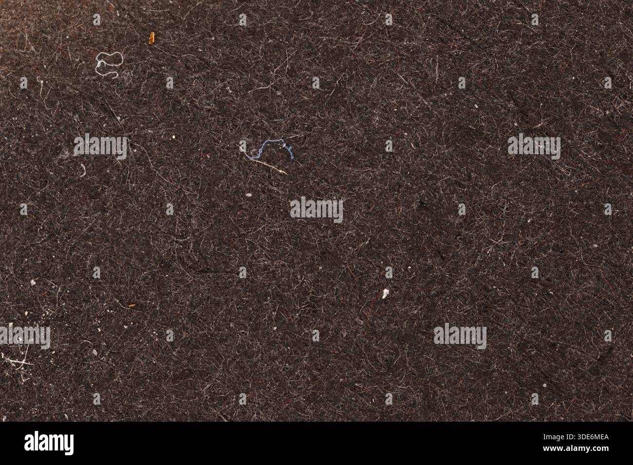 Dark felt texture showing fibers and small bits of lint and dust Stock Photo
