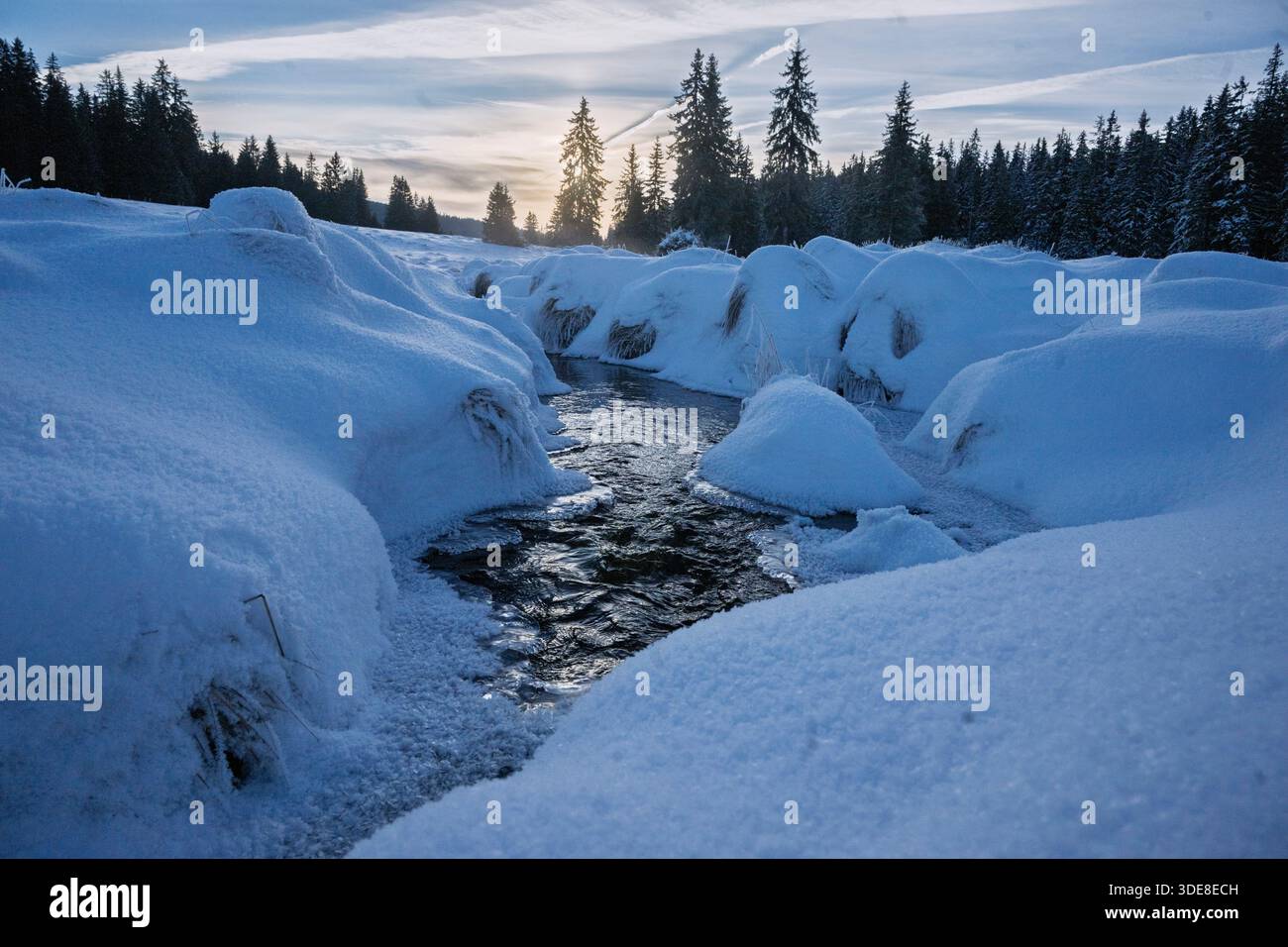 On January 6, 2026, morning temperatures in the Sumava Mountains once ...