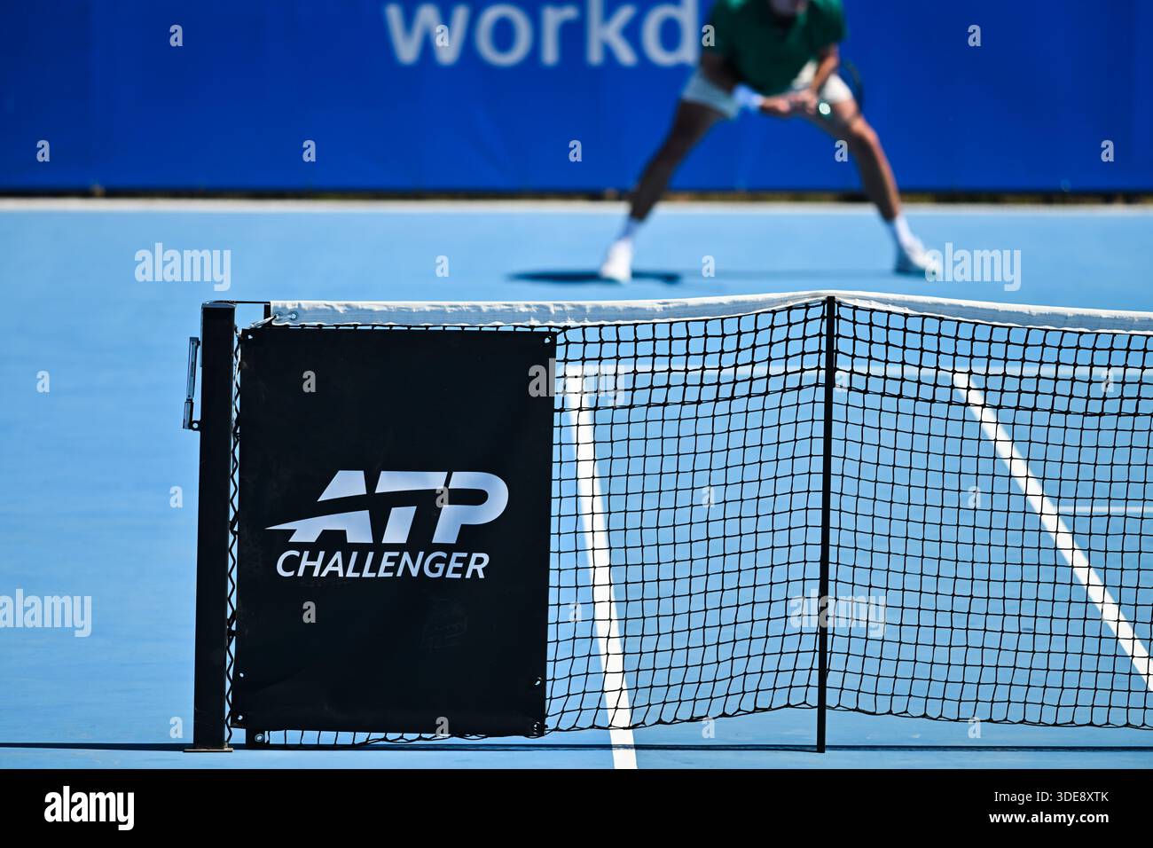 Canberra, Australia. 6 January 2026, Chris Rodesch during the Canberra ...