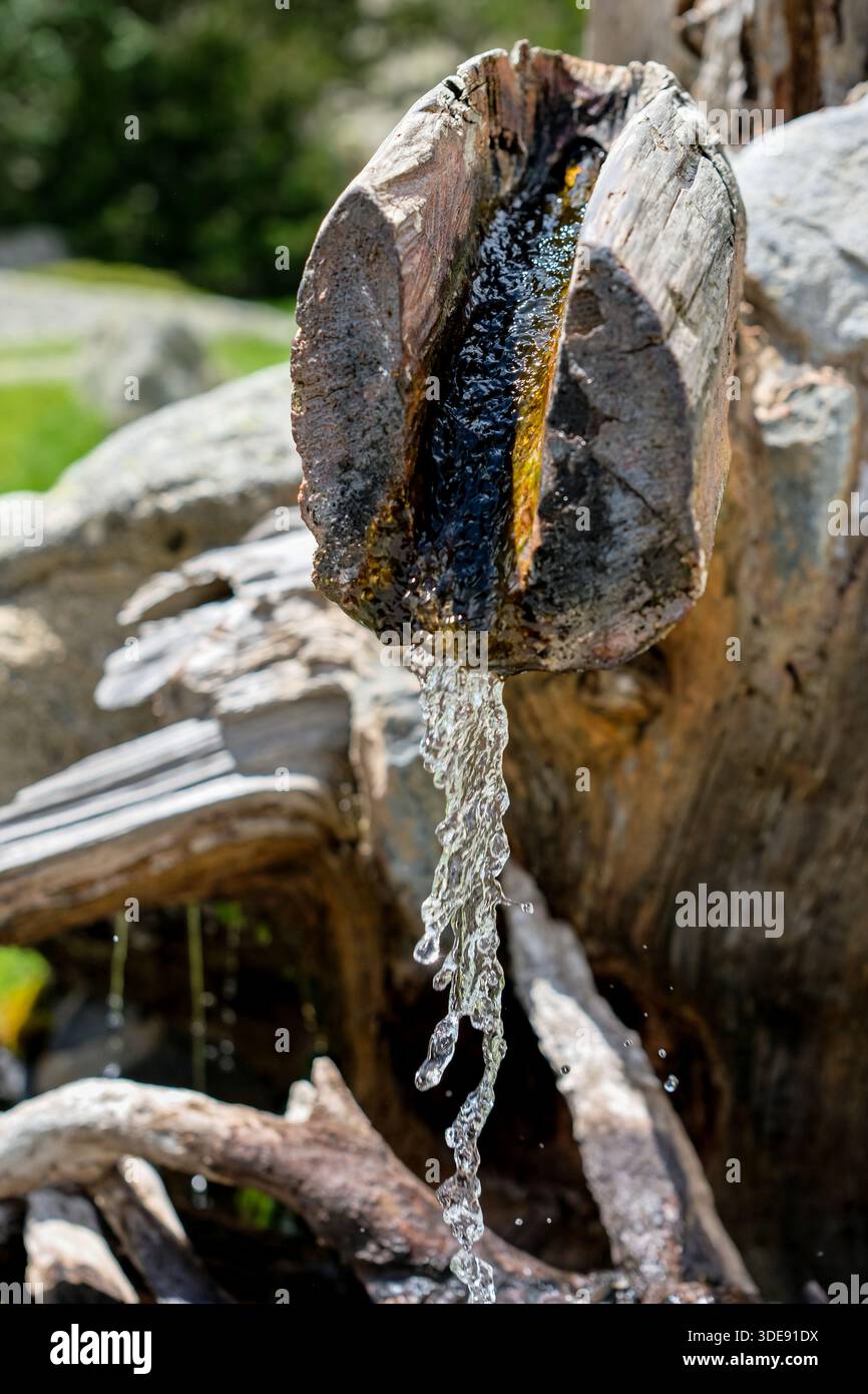 Tree Spring In Water Natural resources conservation services hi-res stock photography and ...