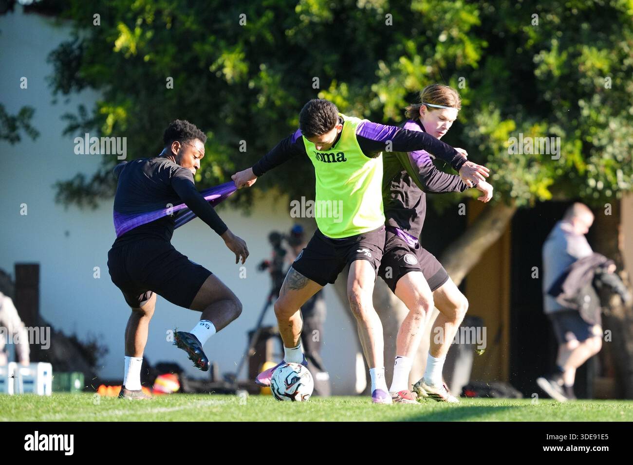What’s Next for Anderlecht?