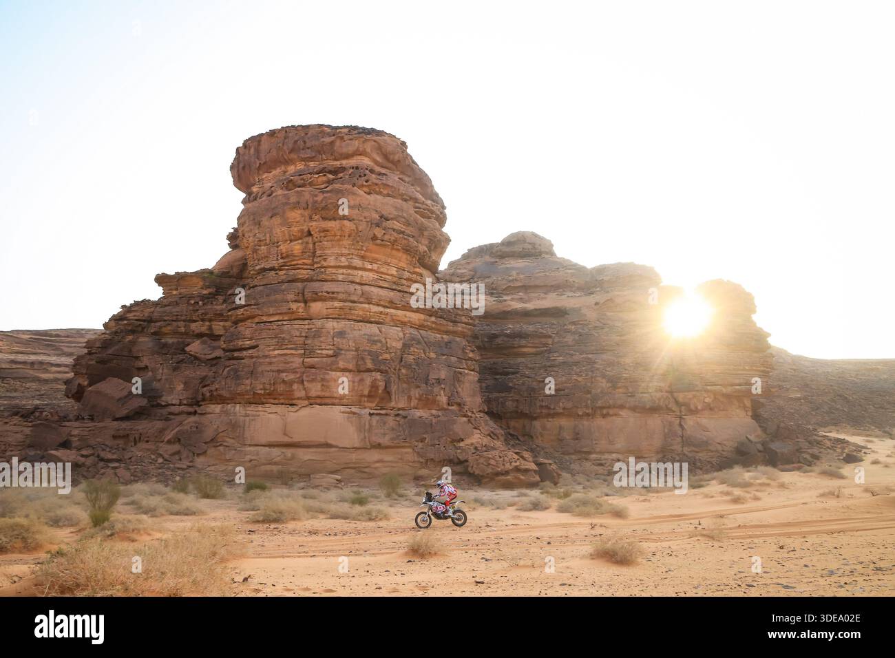 98 KLEIN Mason (usa), Hoto Factory Racing, Hoto, Rally GP, action ...