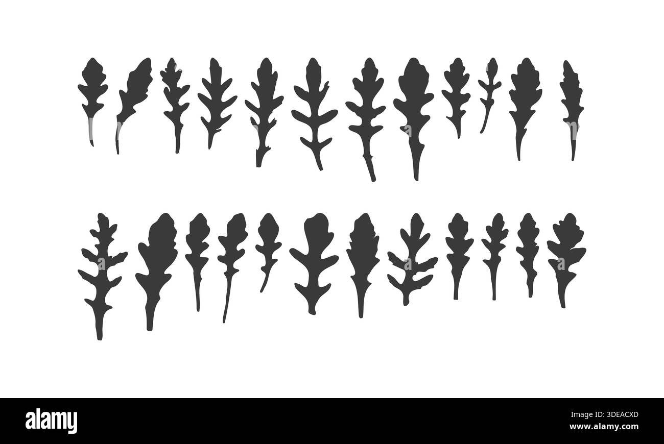Real vegetable silhouette hi-res stock photography and images - Alamy