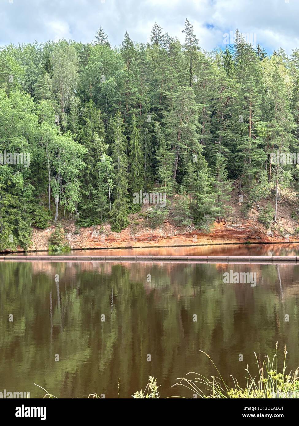 Forested hillside with river and floating barrier in Latvia, showing natural textures and reflections - Smartphone Captured Stock Image