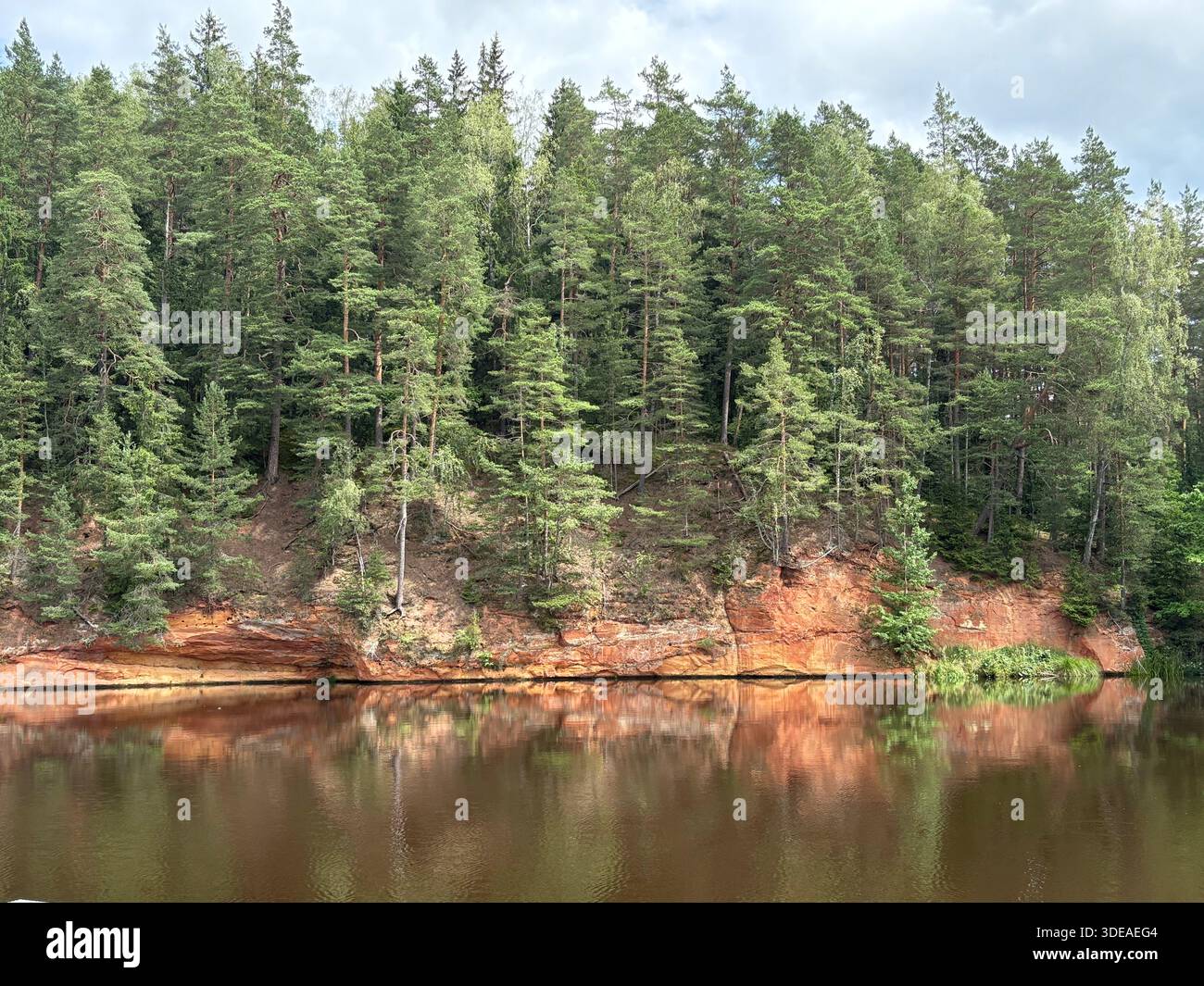 Forested hillside with river and floating barrier in Latvia, showing natural textures and reflections - Smartphone Captured Stock Image