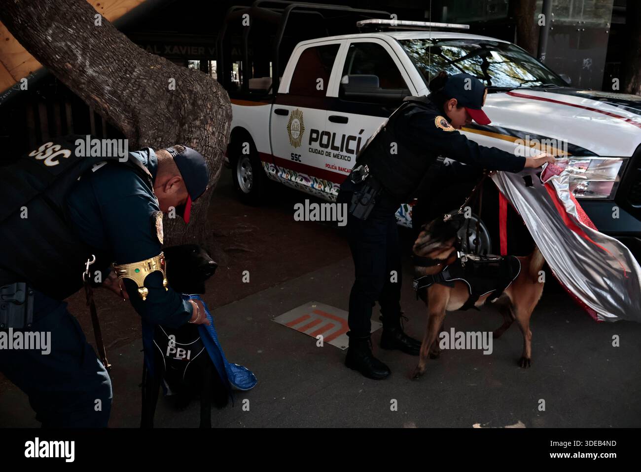 Randy (the black dog) and Kali (the brown dog) are being dressed up by ...