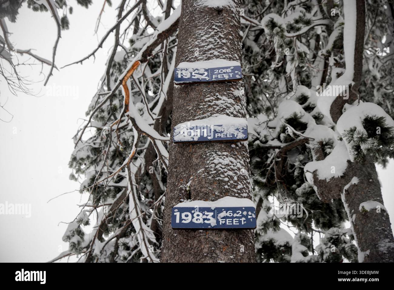 Signs show record snow levels by year at Central Sierra Snow Lab in ...