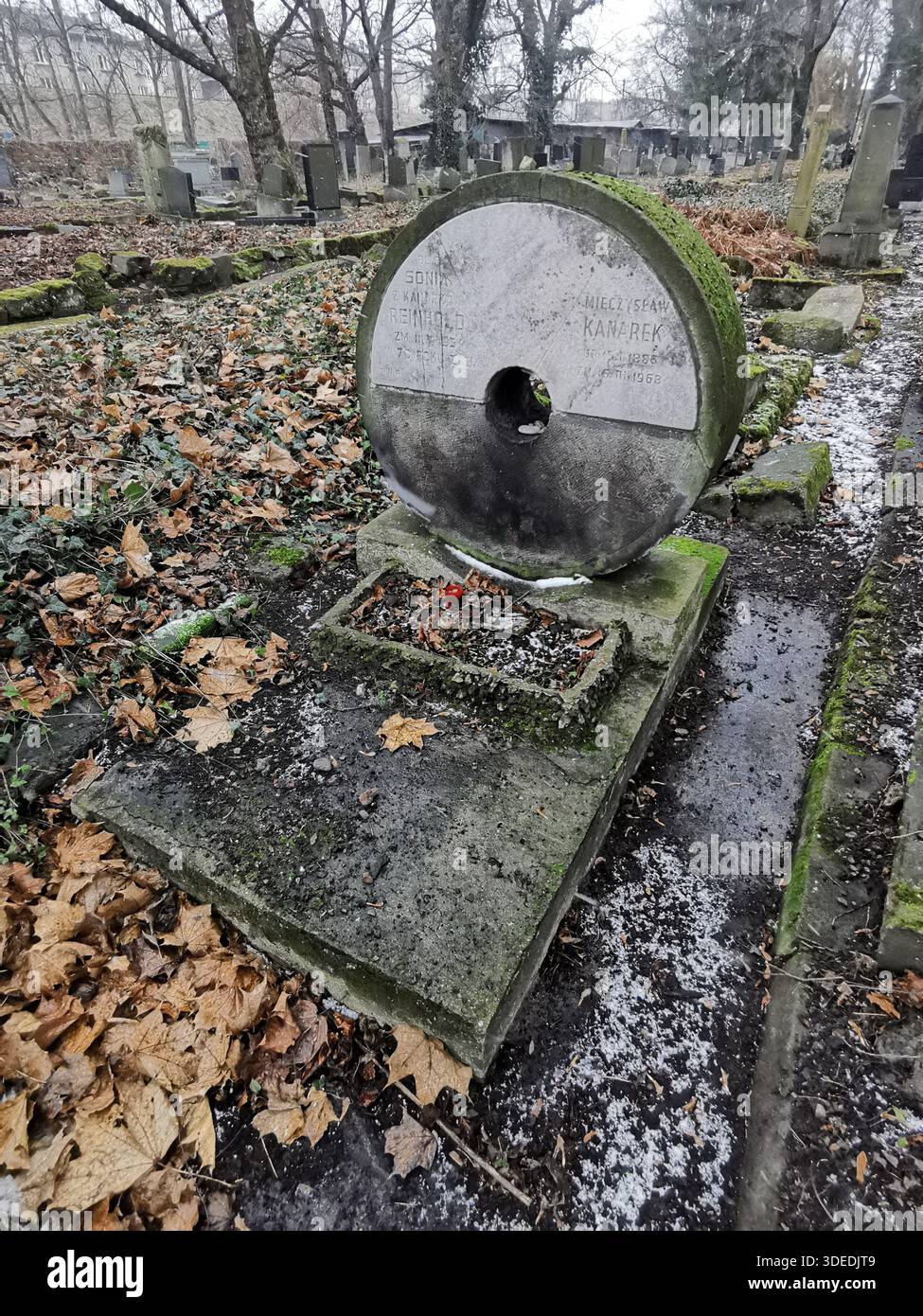 New Jewish Cemetery in Krakow’s Kazimierz district in winter, historic Jewish heritage site with mossy matzevot. Unusual millstone shaped grave. - Smartphone Captured Stock Image