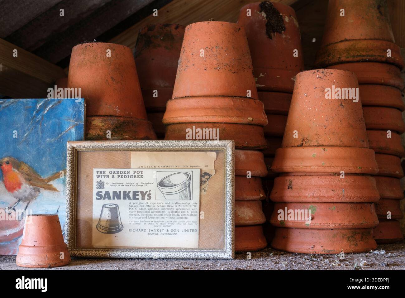 Terracotta pot collection, stacked and organised, with an old magazine ...