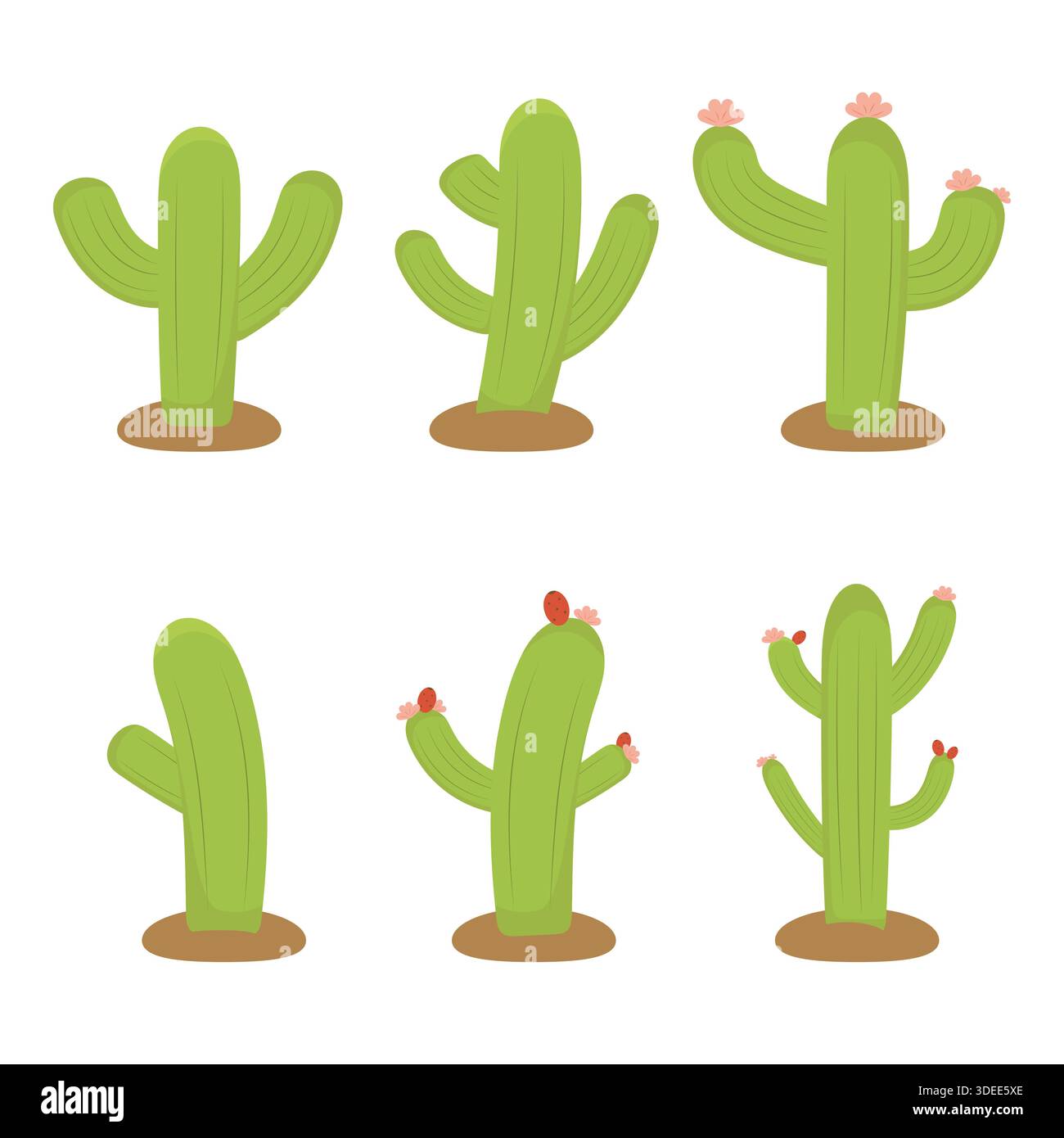 Green cactus vector set with flowers. Flat style isolated designs Stock Vector