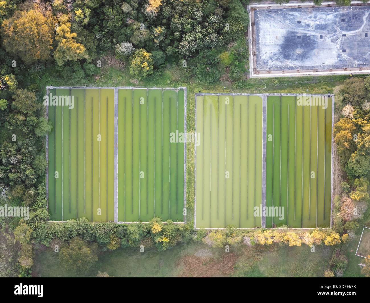 Fields with distinct rows of crops show varying shades of green under ...