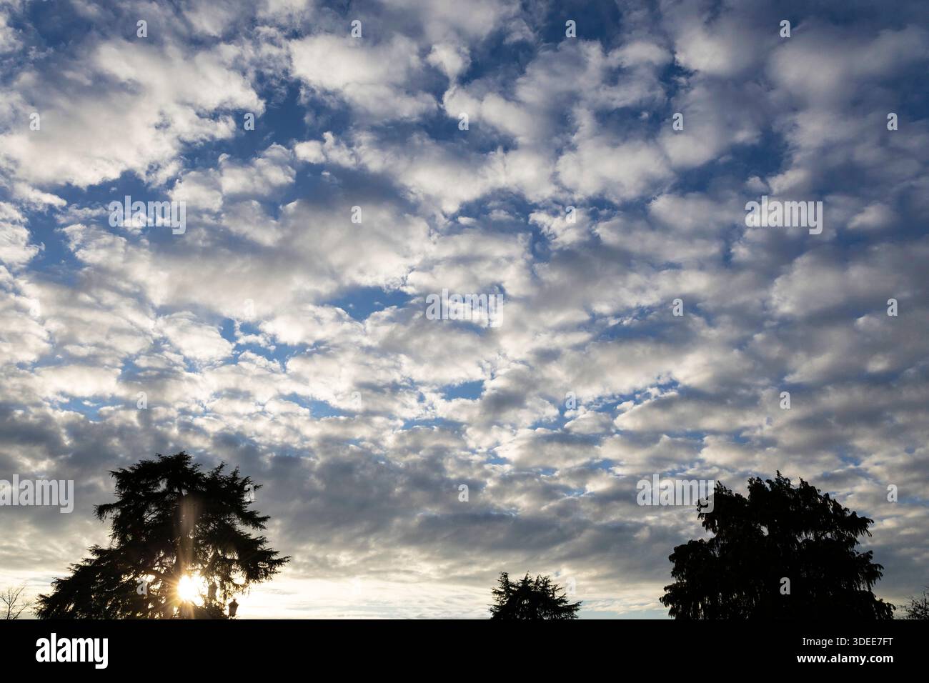 Blue sky with small altocumulus clouds, sun rays emerging behind a ...