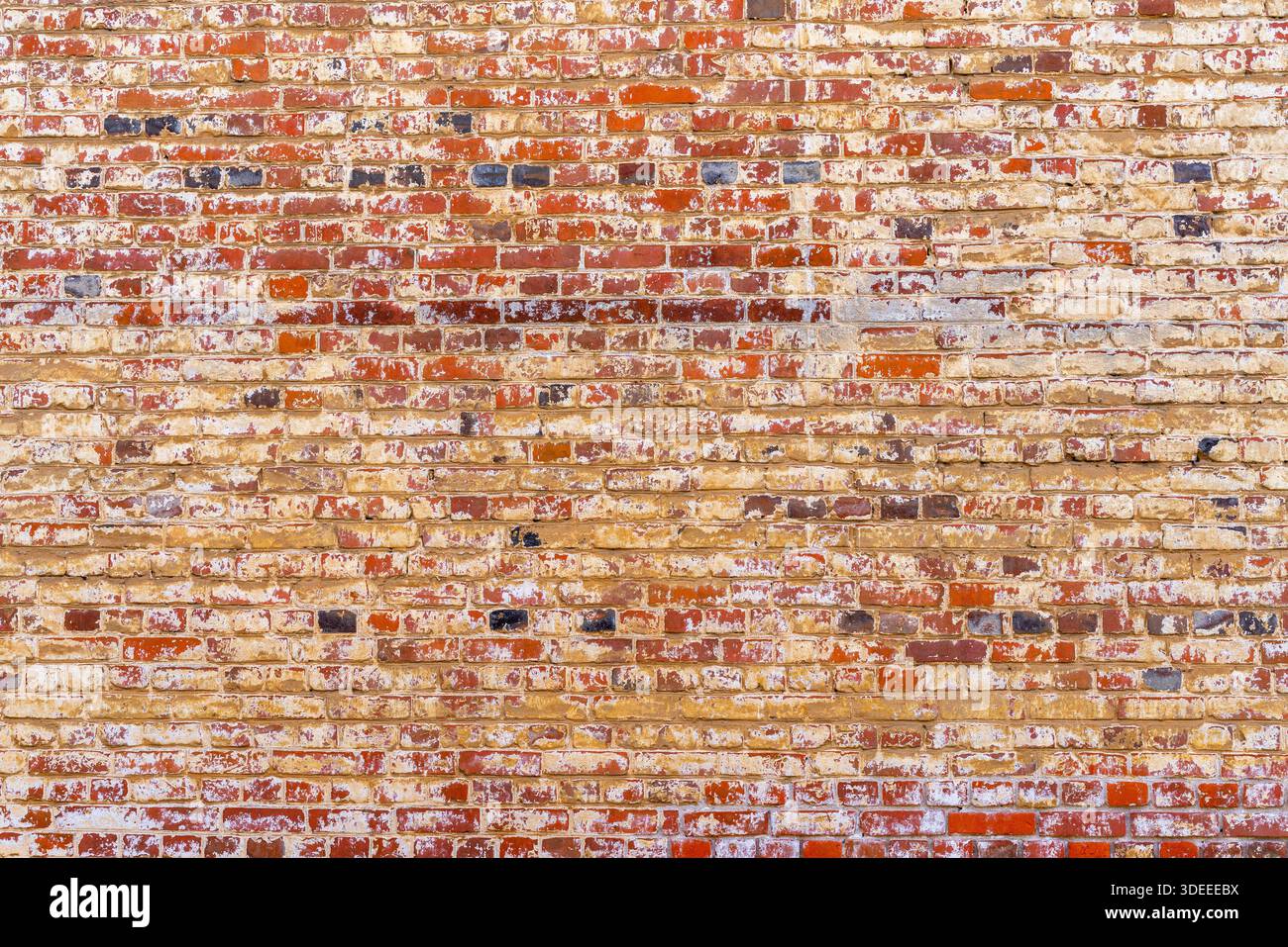 Old red brick wall. Peeling white paint on a red wall. Stock Photo