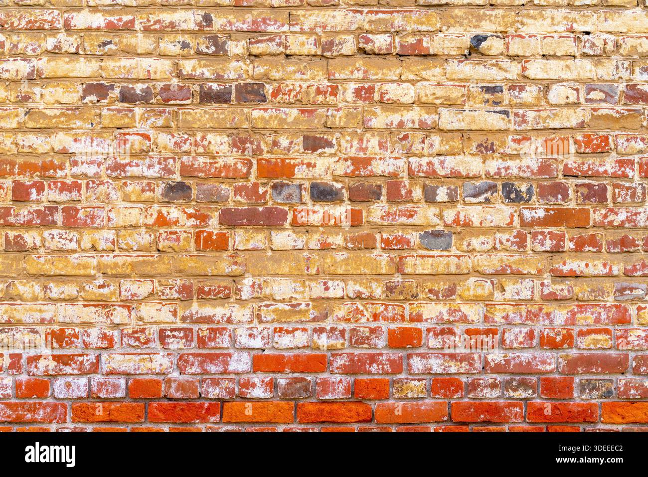 Old red brick wall. Peeling white paint on a red wall. Stock Photo