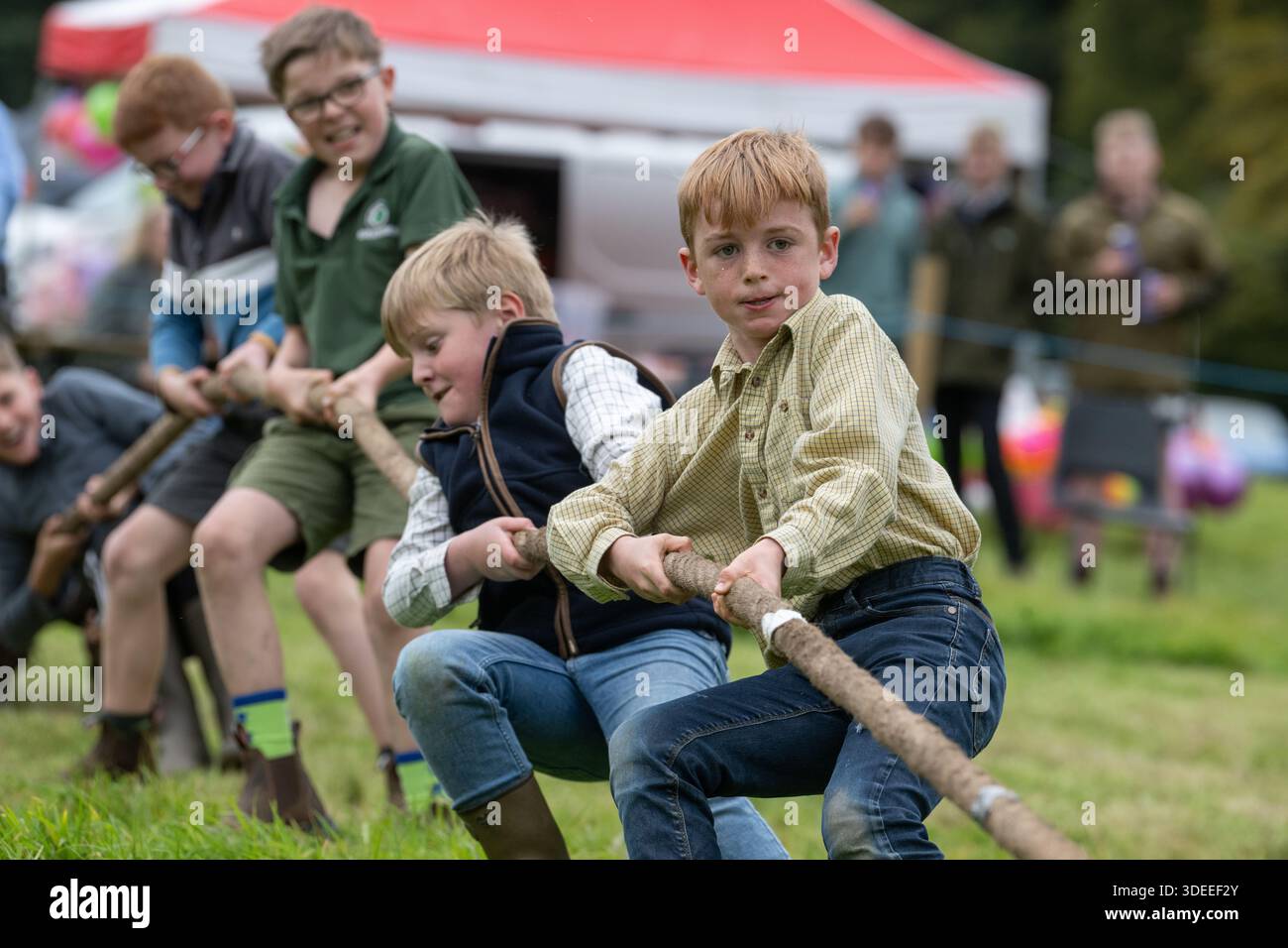 Teams competing in a tug of War competition at Langholm Show 2025 Stock ...