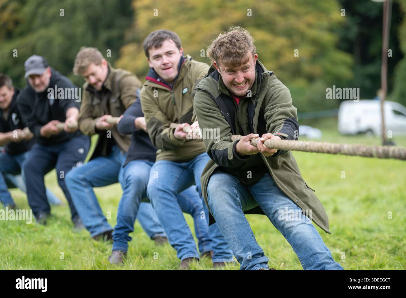 Teams competing in a tug of War competition at Langholm Show 2025 Stock ...