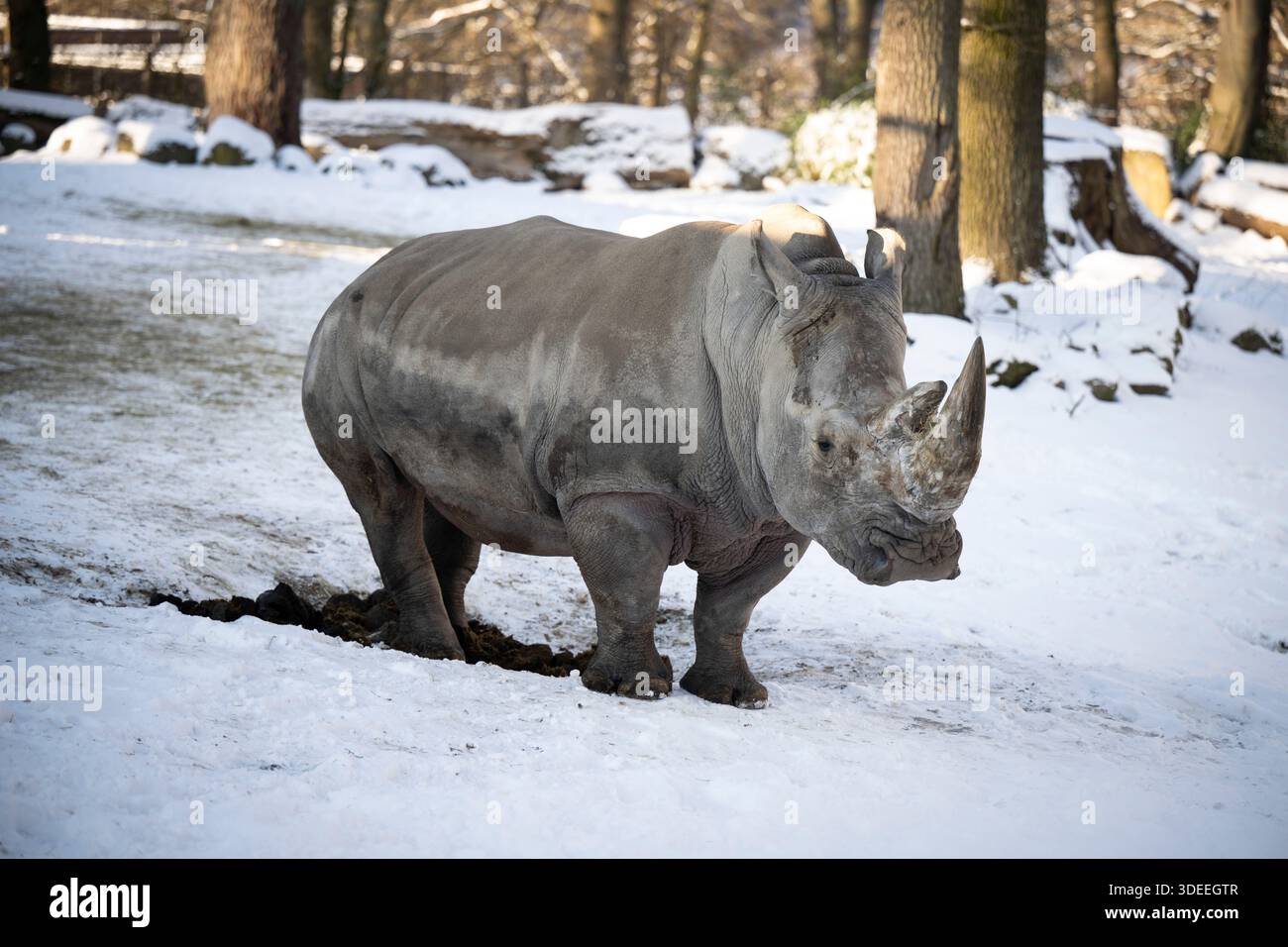 dpatop - 07 January 2026, Mecklenburg-Western Pomerania, Schwerin: A ...