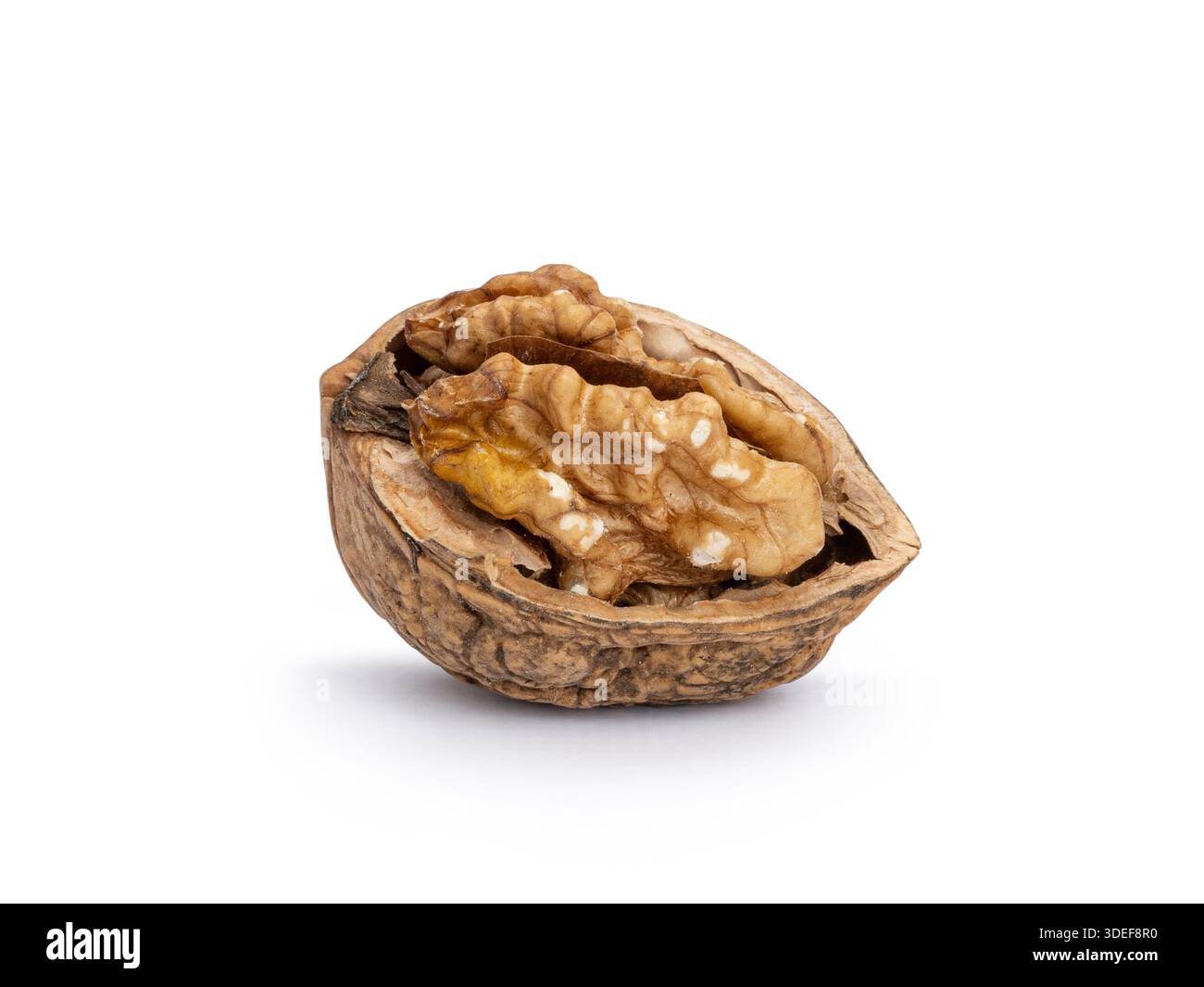 Walnut kernel resting in its opened shell, isolated on white background Stock Photo