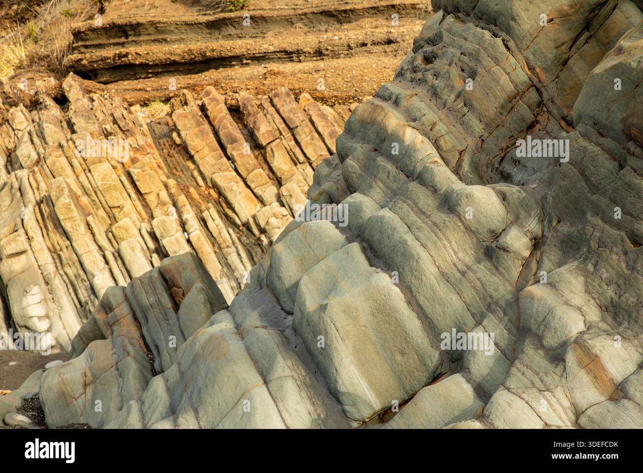 WA28981-00...WASHINGTON - Bedrook layers tilting  on the hillside above the Pacific Ocean at Beach 4 on the Pacific Coast. Stock Photo