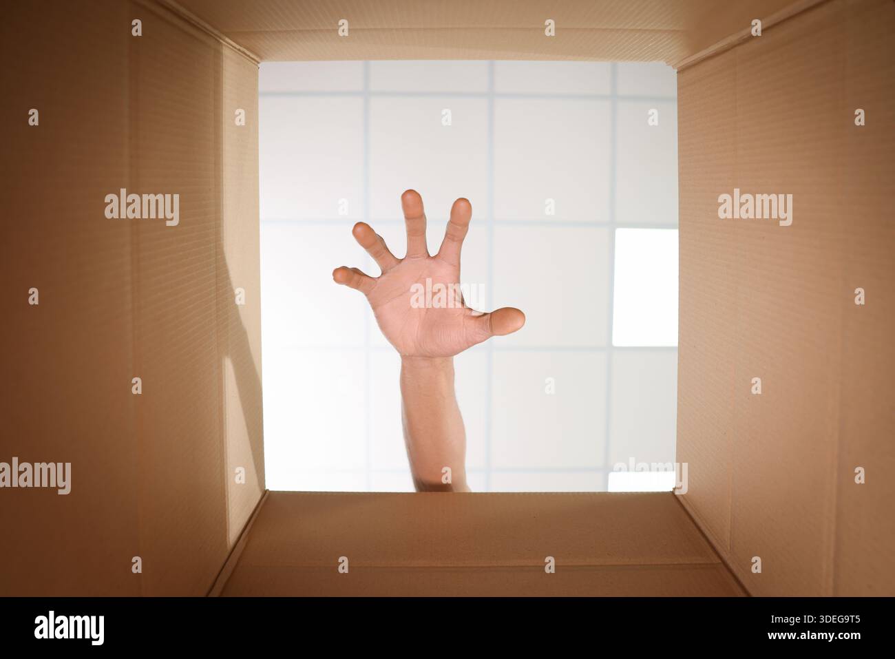 Man reaching into cardboard box, closeup. View from inside package Stock Photo