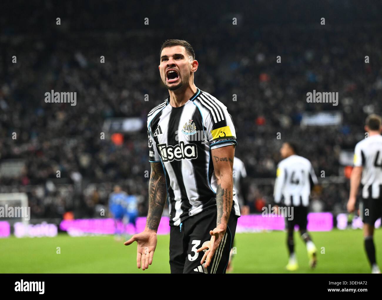 bruno-guimaraes-of-newcastle-united-celebrates-their-fourth-goal-stock