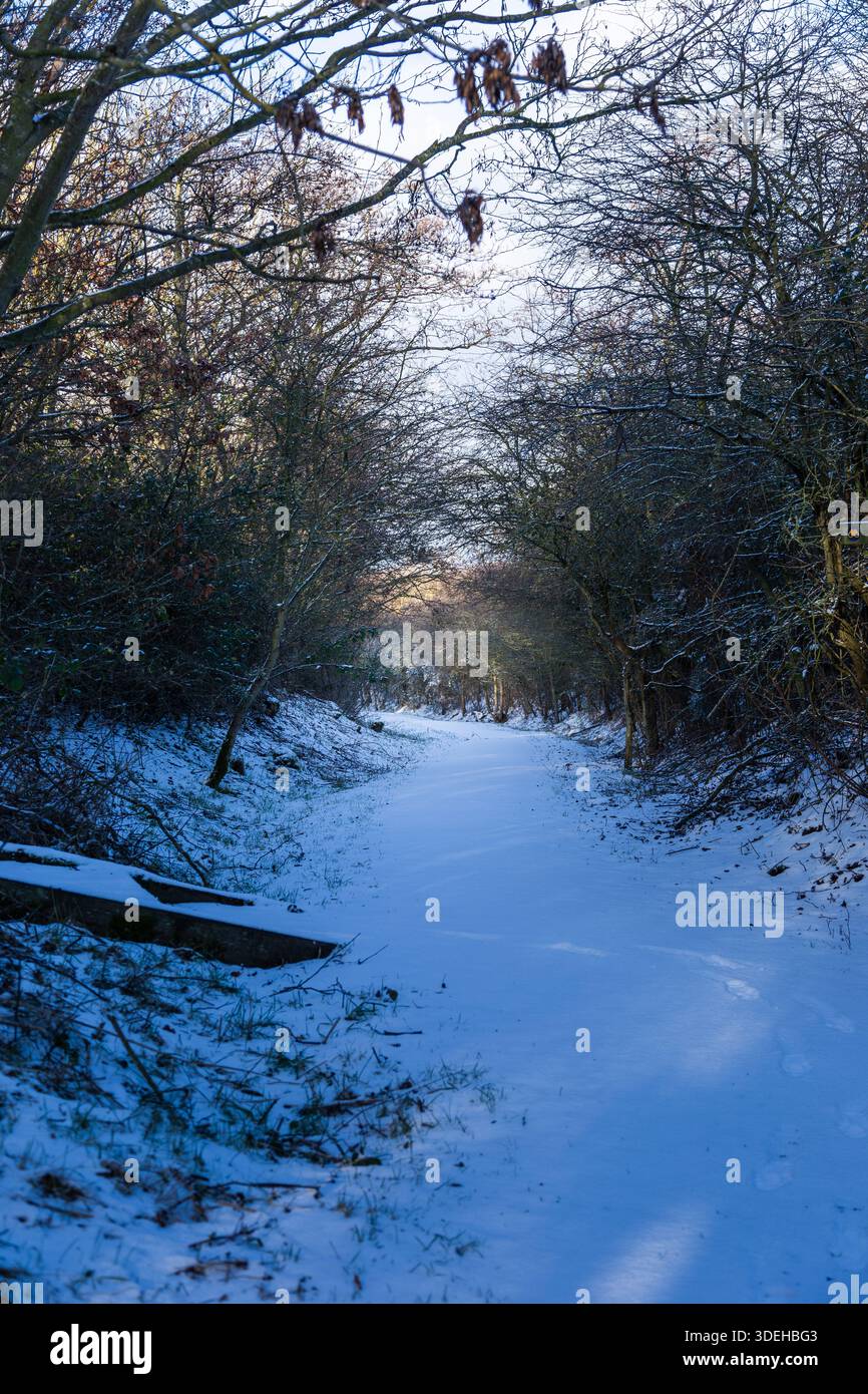 A wintery walk at Hauxley Northumberland January 2026 Stock Photo - Alamy