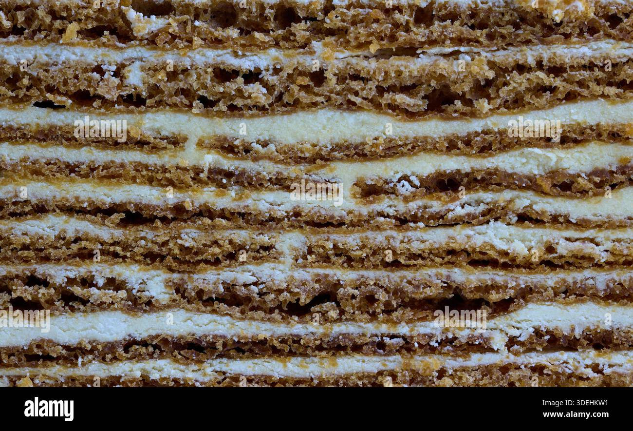 Detailed Cross Section of Layered Honey Cake Texture. High quality ...