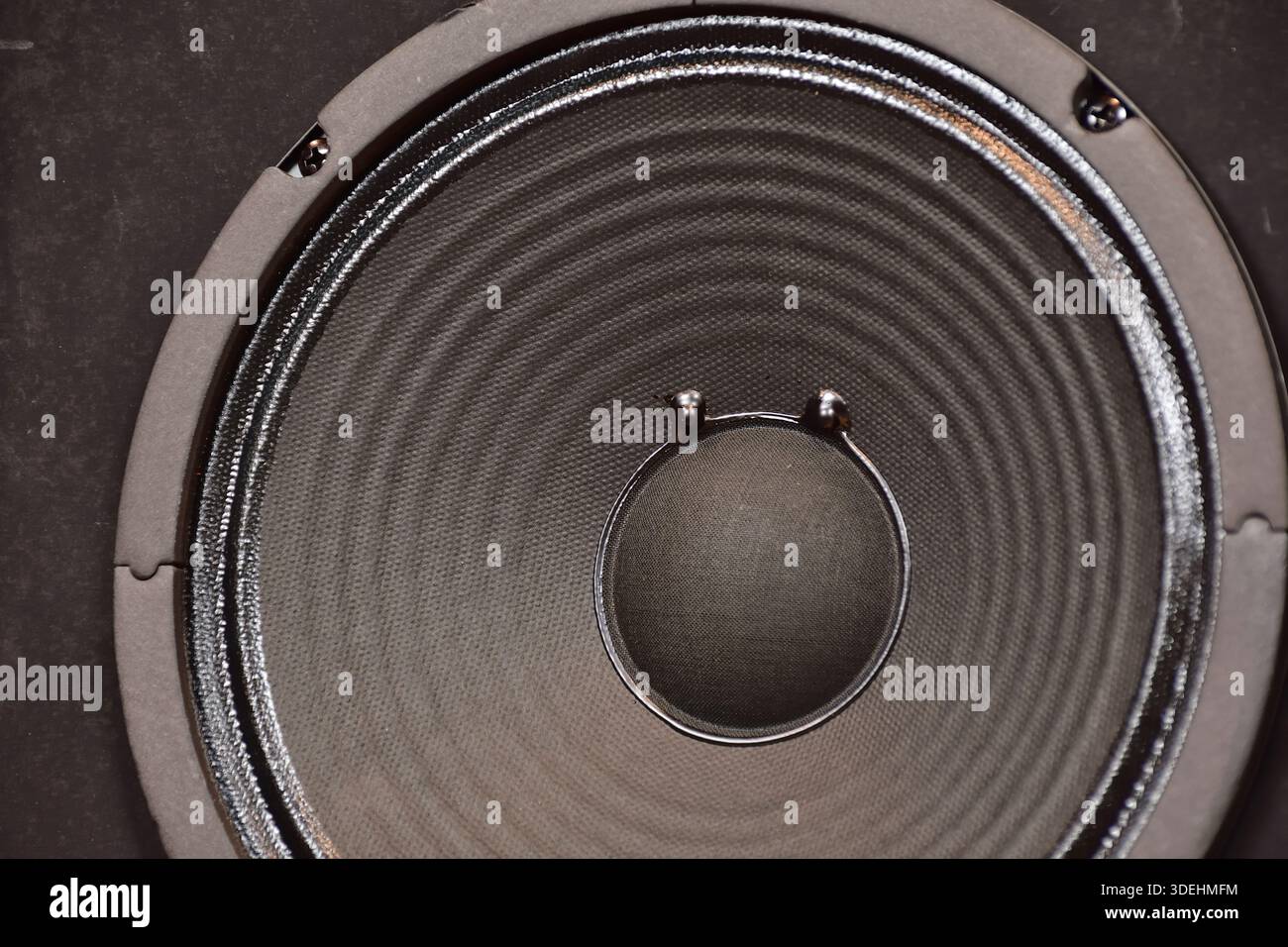 Subwoofer speaker close up without protective cover. Stock Photo