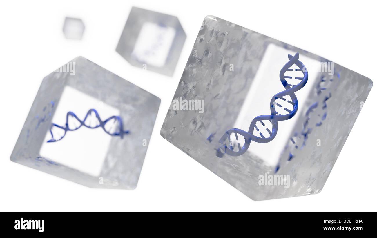 3D DNA helixes encased in ice cubes. This ethereal rendering evokes ...