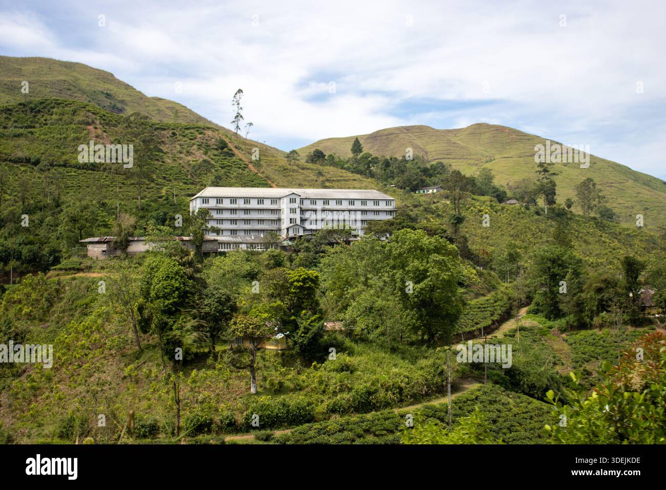 SRI LANKA - FEBRUARY 3, 2025 typical tea plantation building on the ...