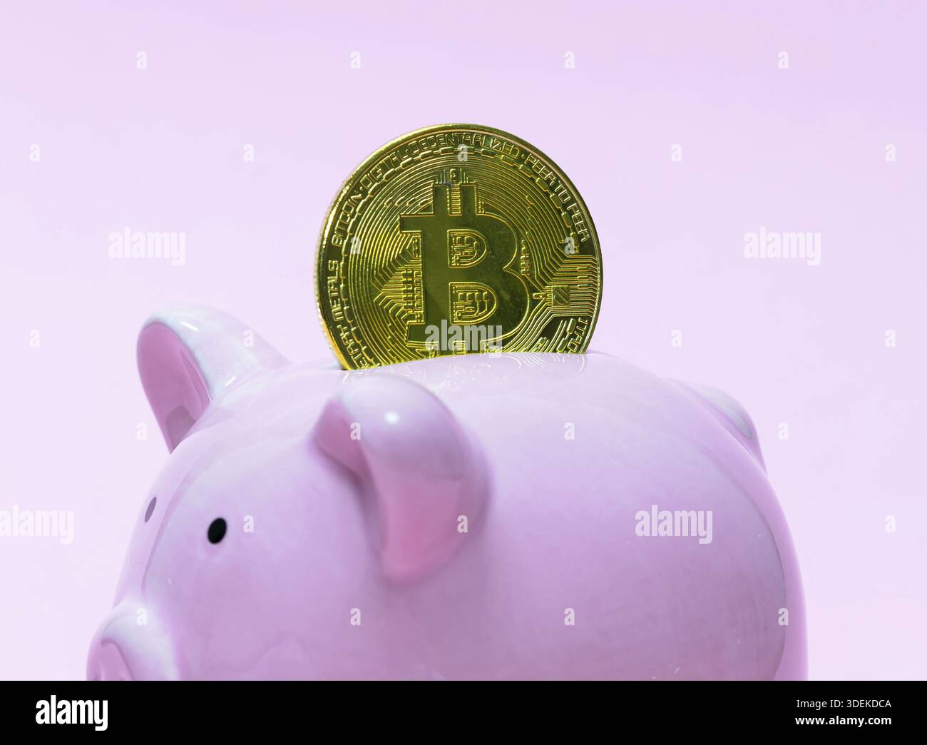 Cryptocurrency saving piggy bank financial banking concept. Bitcoin coin  put into savings Stock Photo - Alamy