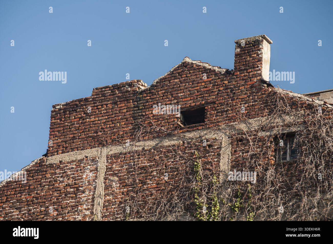 Backside old weathered vintage brick building wall facade Stock Photo