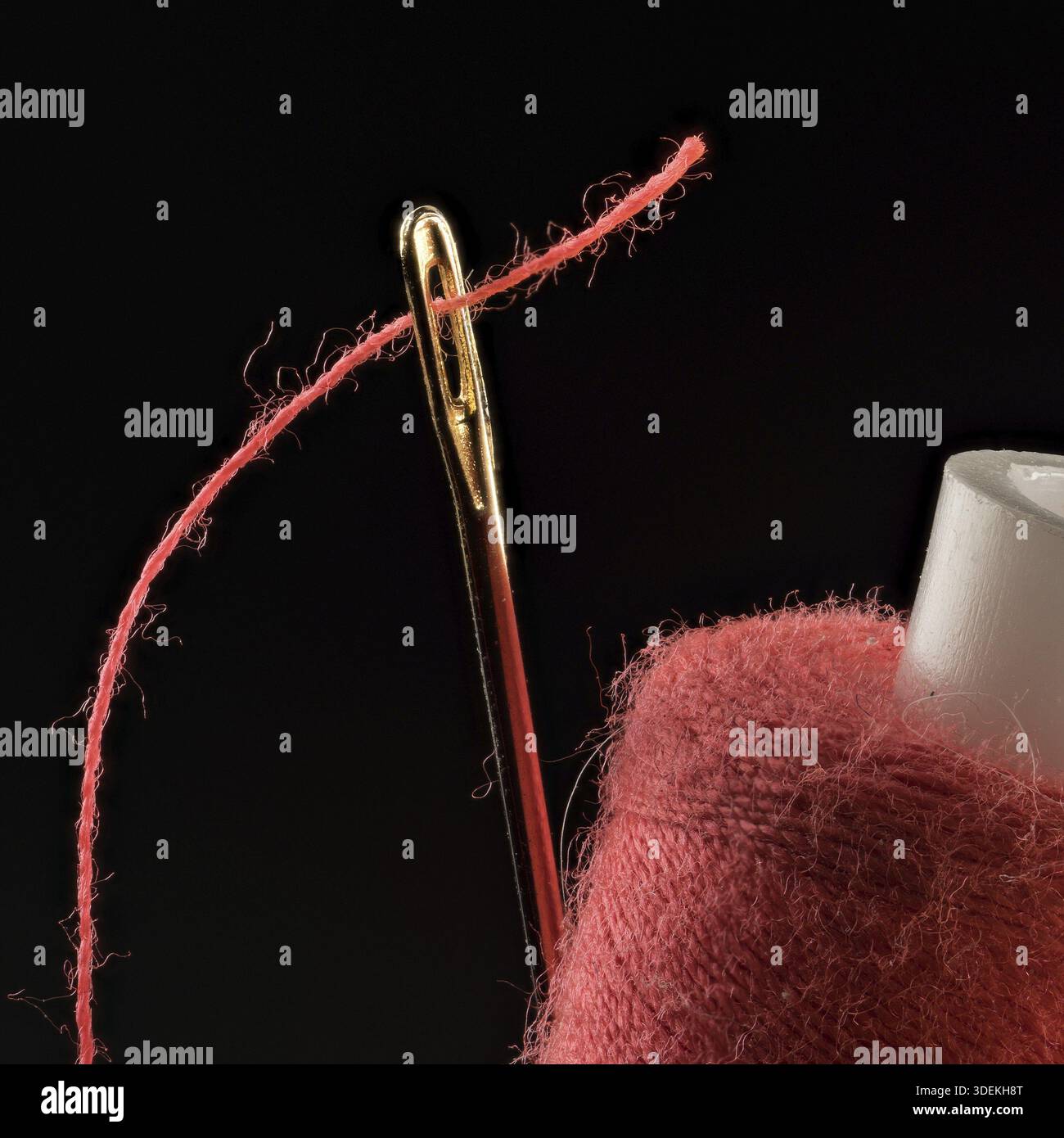 Red thread, threaded into a needle close-up on a black background Stock Photo